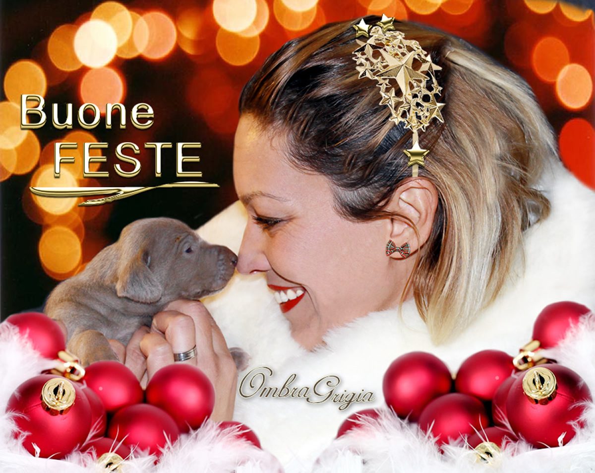 Buone Feste!